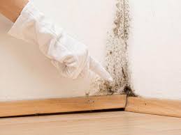 Best Asbestos and Lead Testing During Mold Inspection  in Marmora, NJ